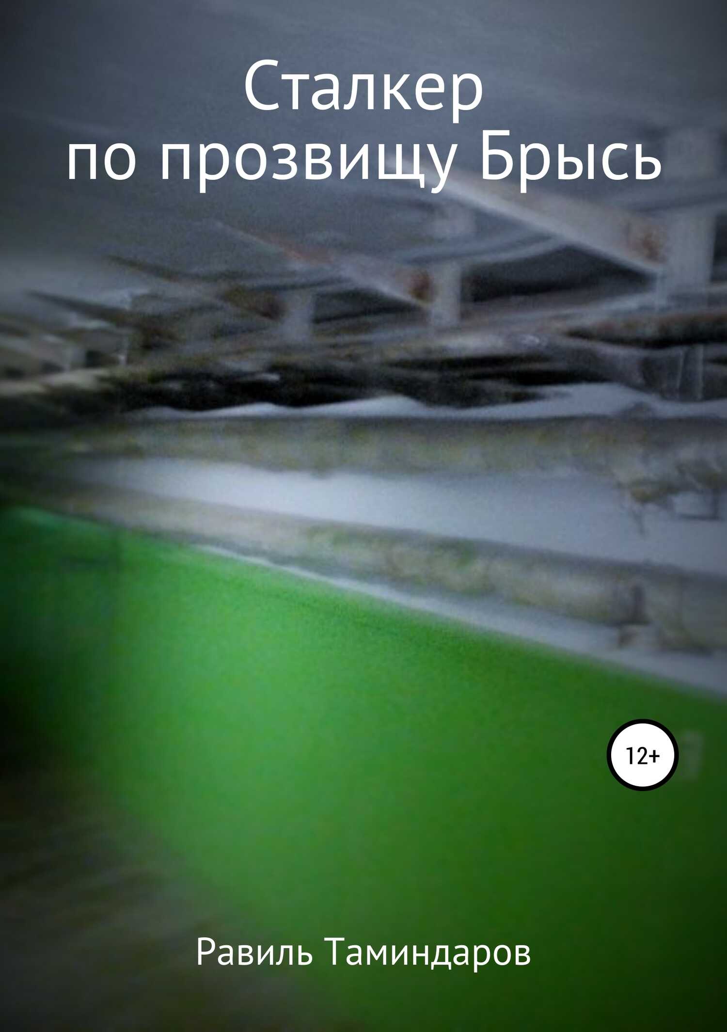 Сталкер по прозвищу Брысь - Равиль Тимиргалиевич Таминдаров