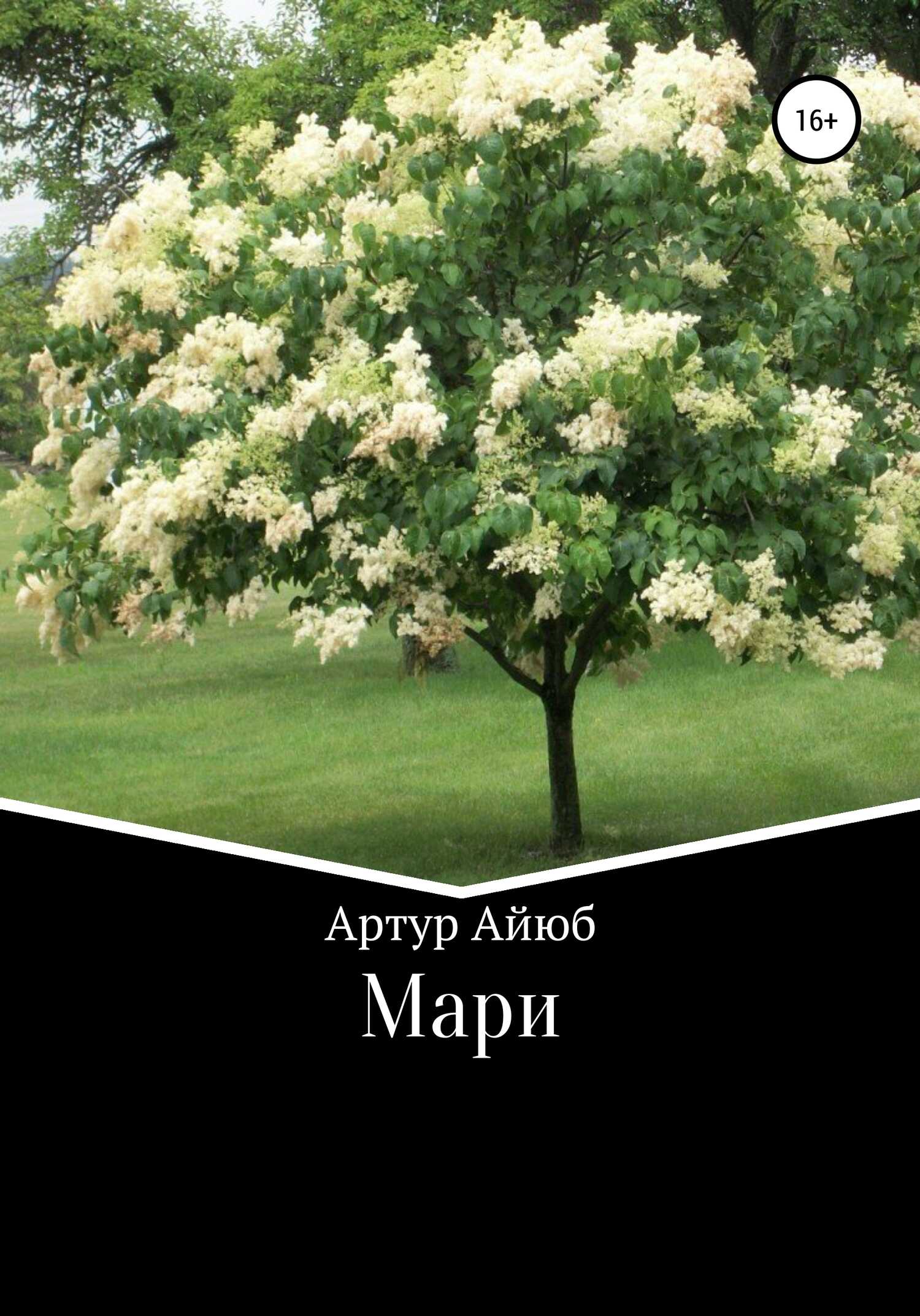 Мари - Артур Ильдусович Айюб - <a href=
