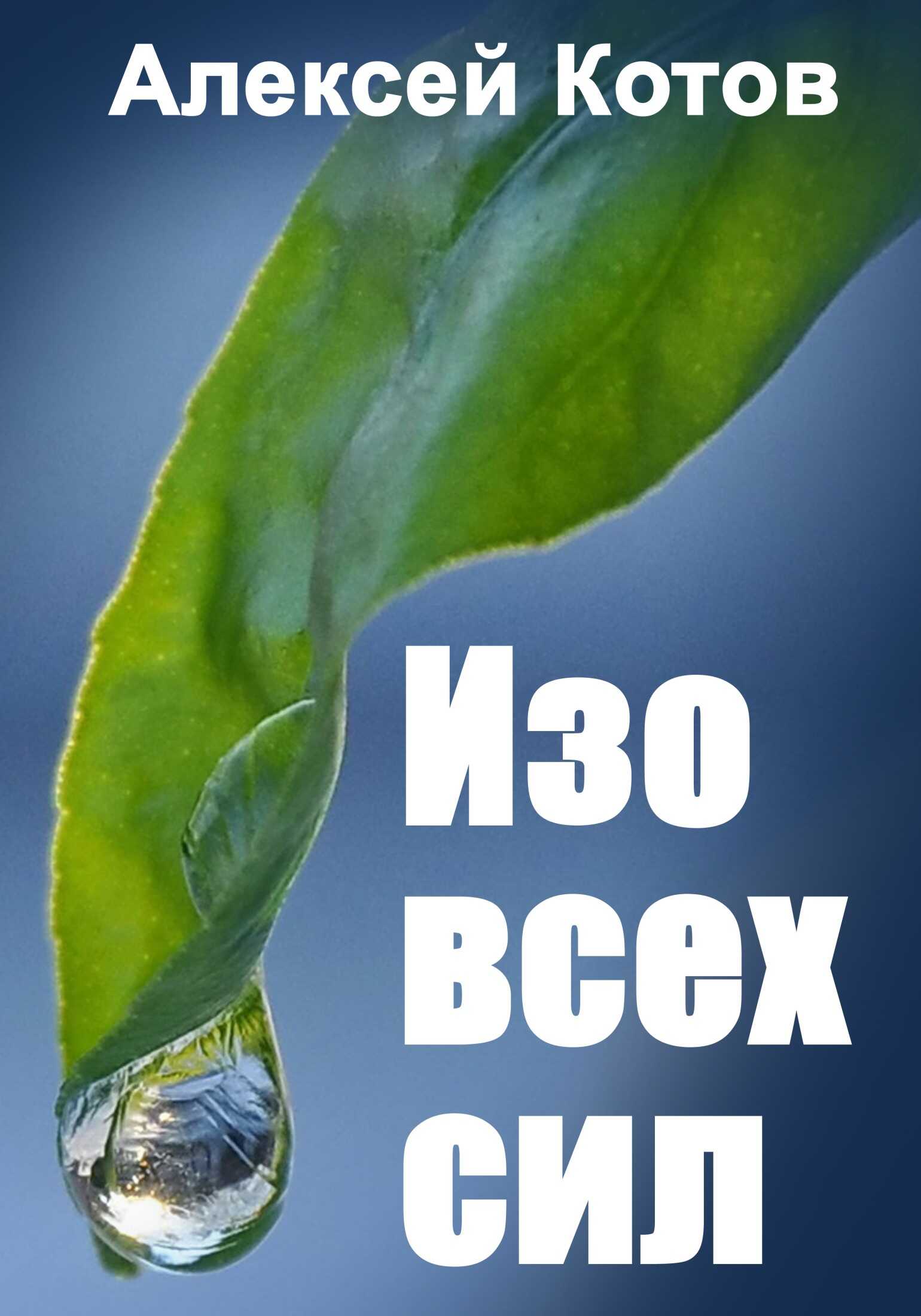 Изо всех сил - Алексей Николаевич Котов - <a href=