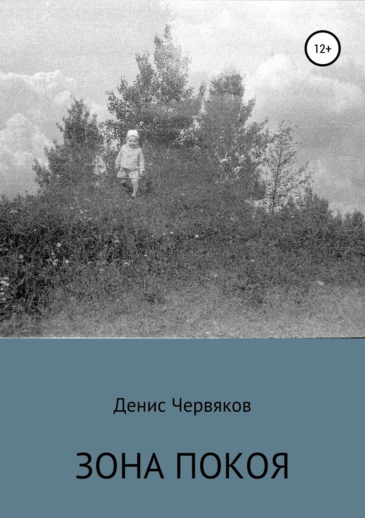 Зона покоя - Денис Владимирович Червяков - <a href=