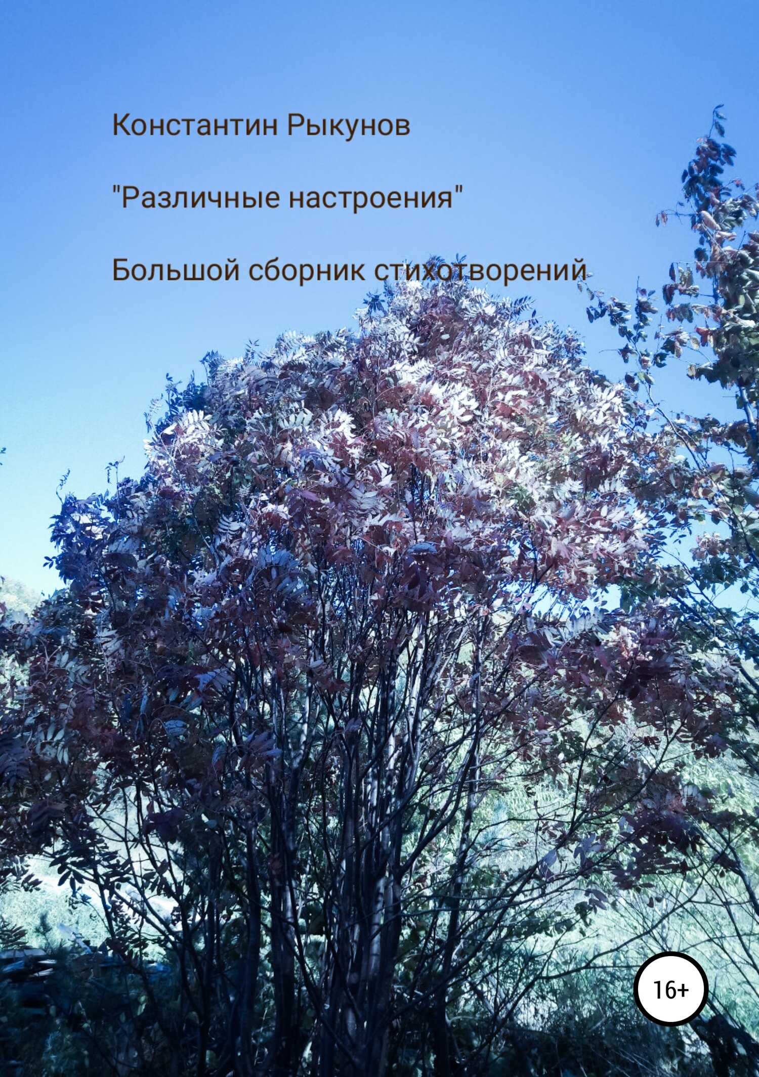 Различные настроения - Константин Константинович Рыкунов - <a href=