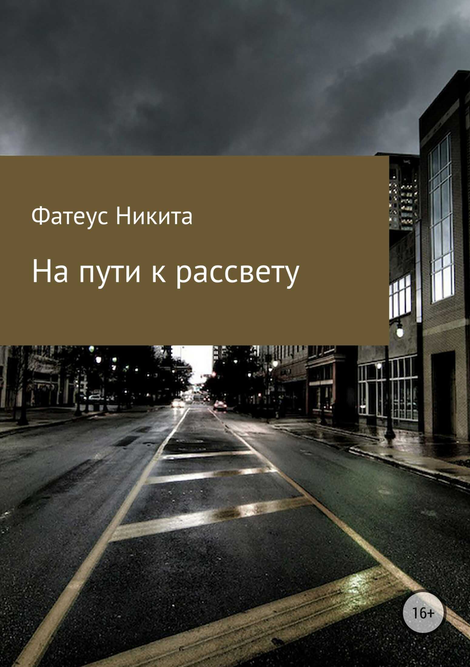 На пути к рассвету - Никита Андреевич Фатеус - <a href=