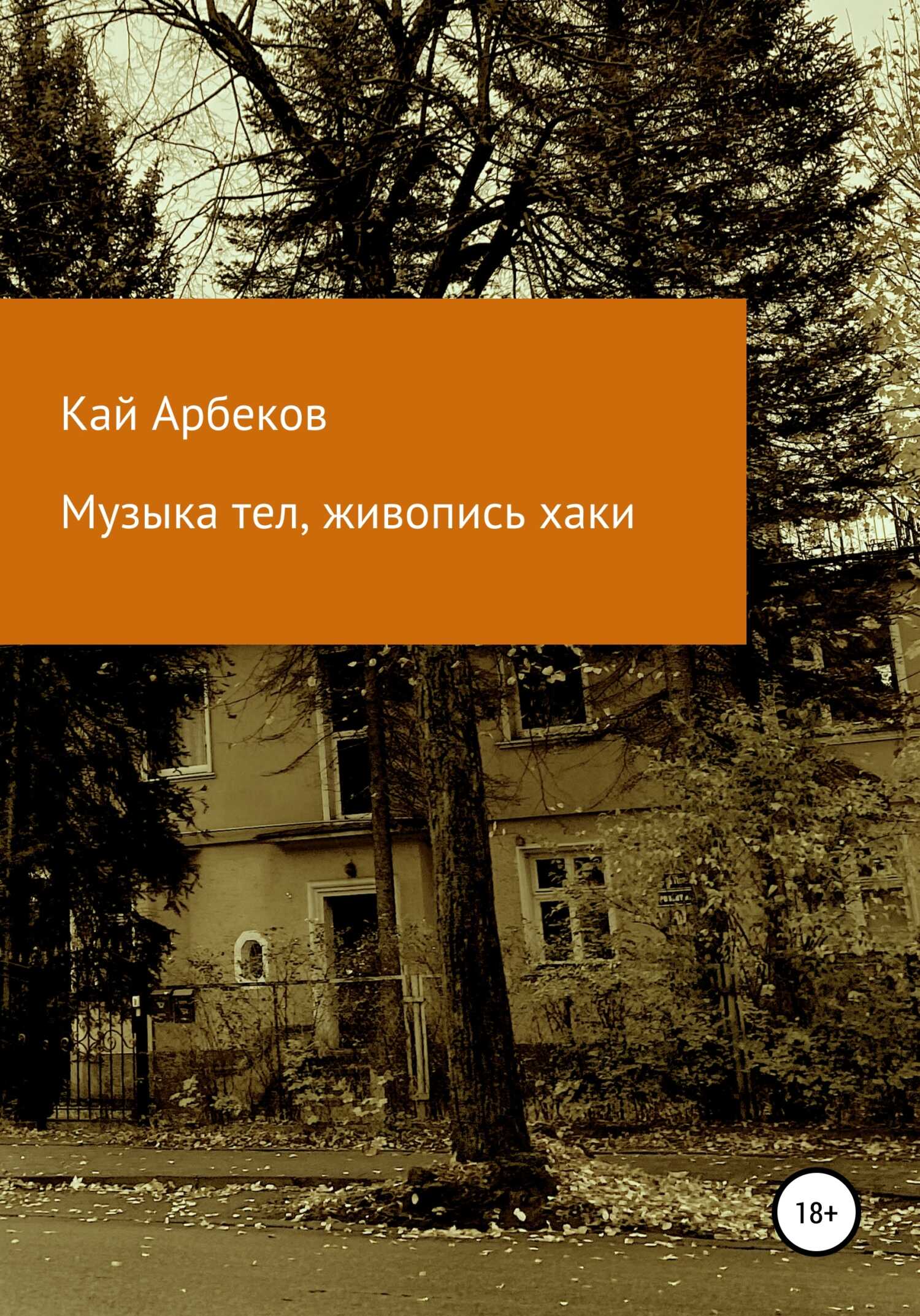 Музыка тел, живопись хаки - Кай Арбеков