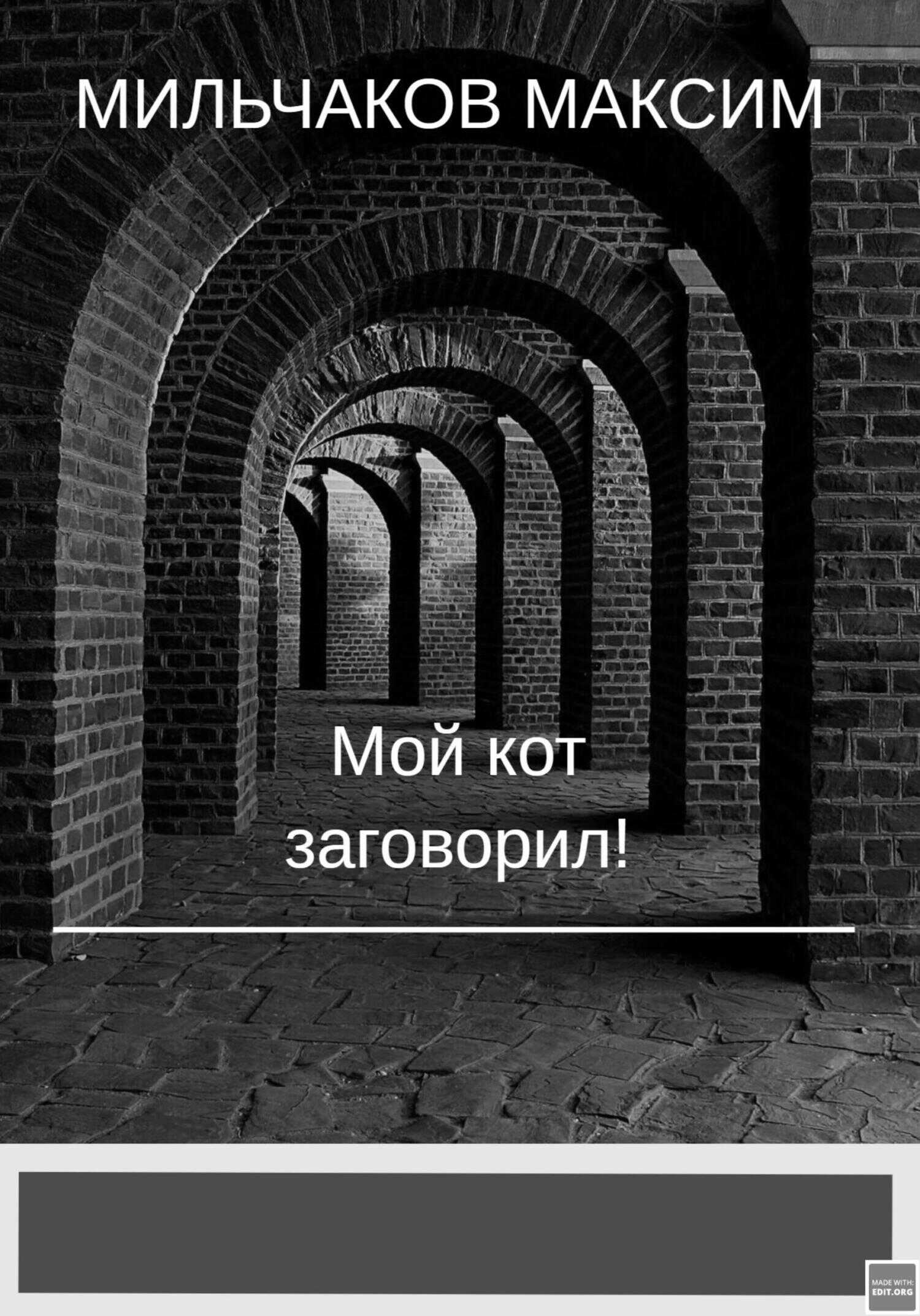 Мой кот заговорил - Максим Мильчаков - <a href=