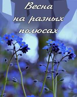 Весна на разных полюсах - Андрей Сомов - <a href=