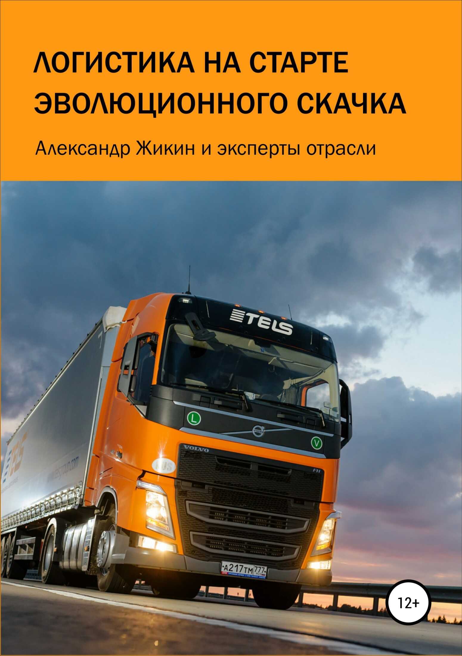 Логистика на старте эволюционного скачка - Юлия Бегун - <a href=