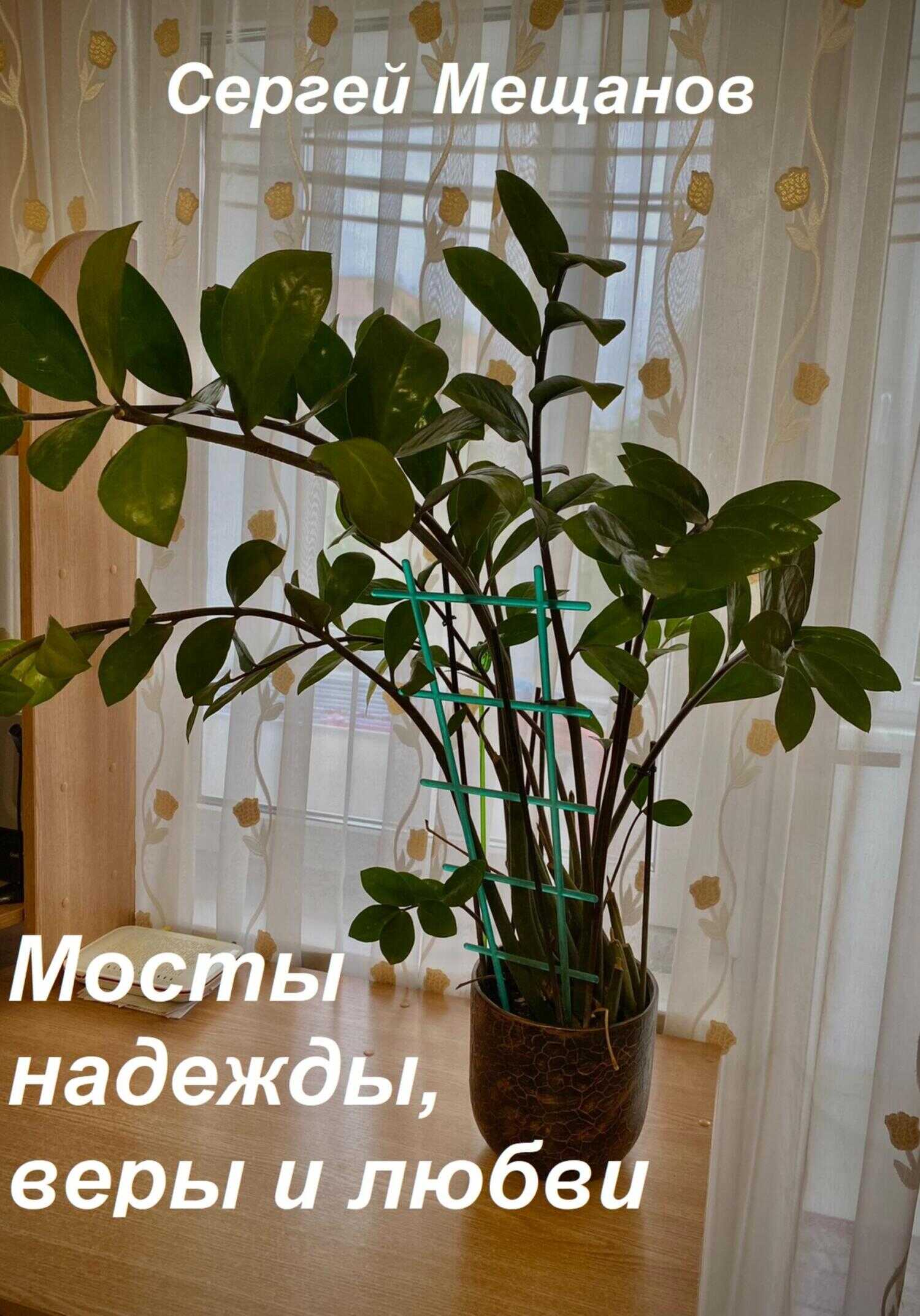 Мосты надежды, веры и любви - Сергей Алексеевич Мещанов - <a href=