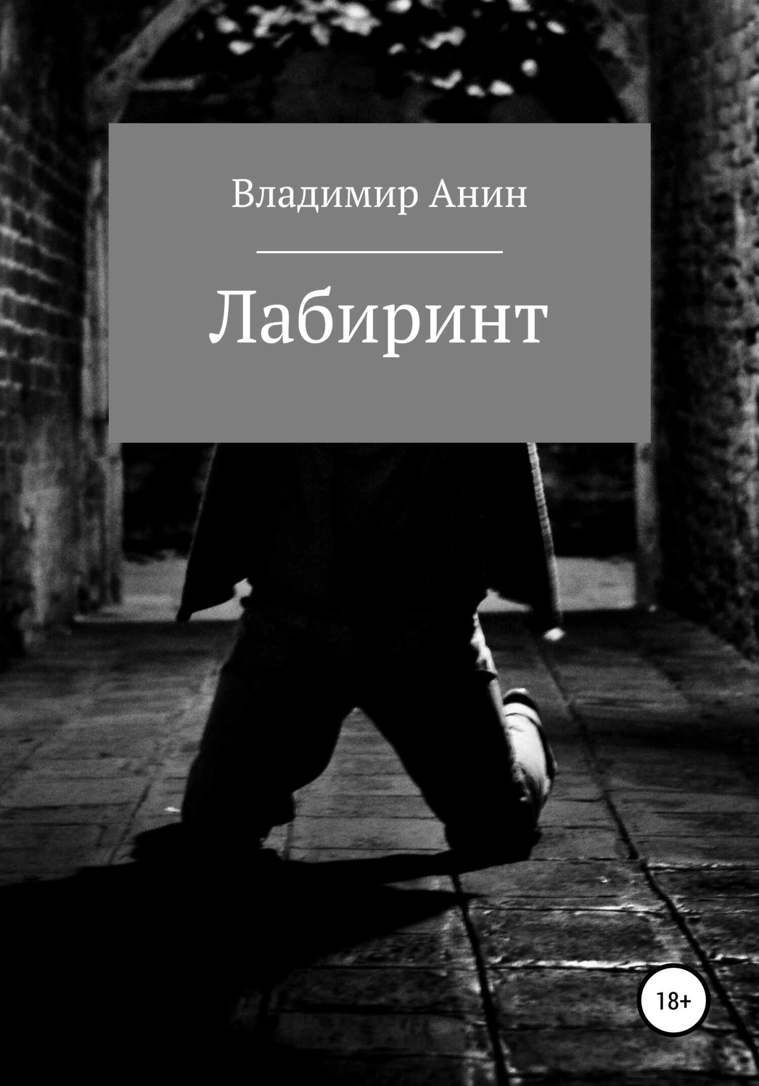 Лабиринт - Владимир Анин - <a href=