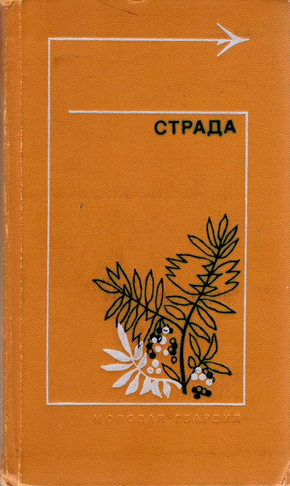 Страда - Анатолий Стреляный