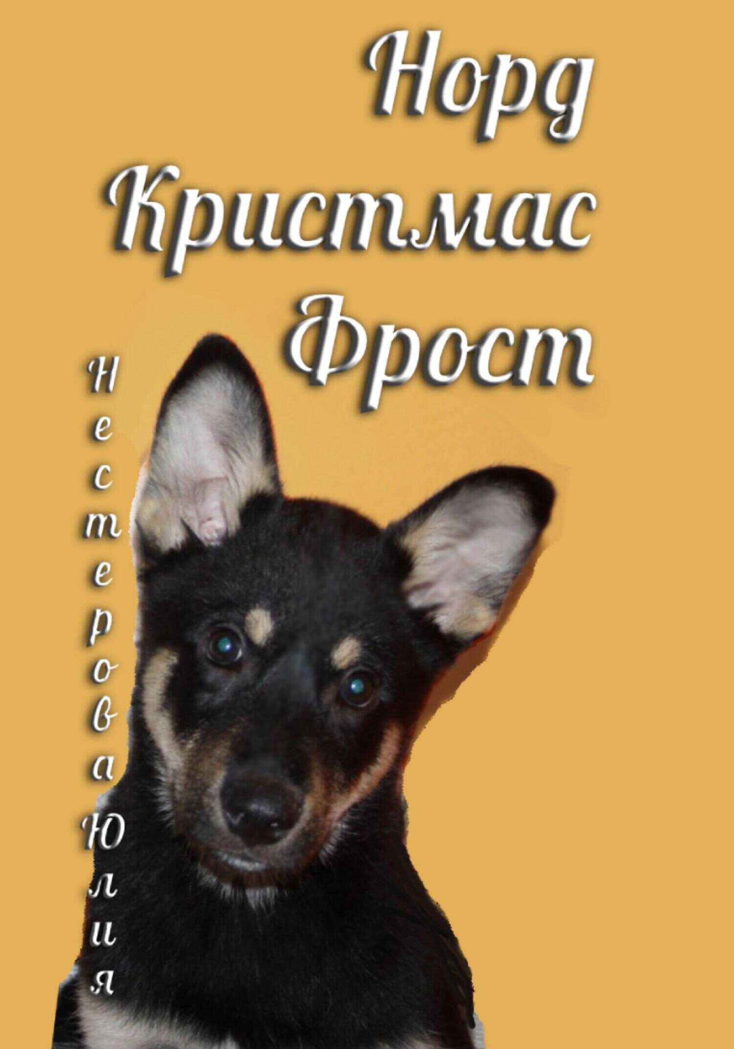 Норд Крисмас Фрост - Юлия Нестерова - <a href=