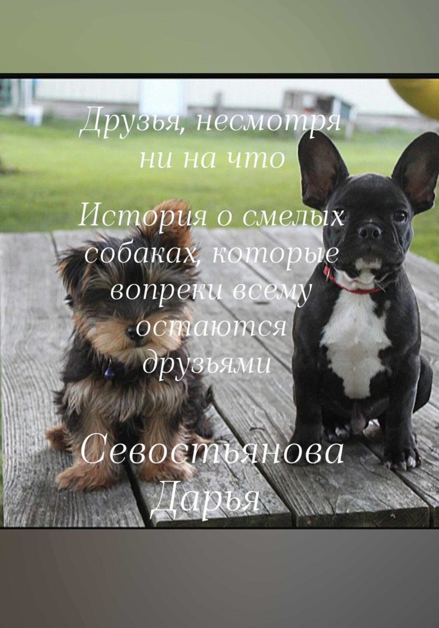 Друзья, несмотря ни на что - Дарья Алексеевна Севостьянова - <a href=