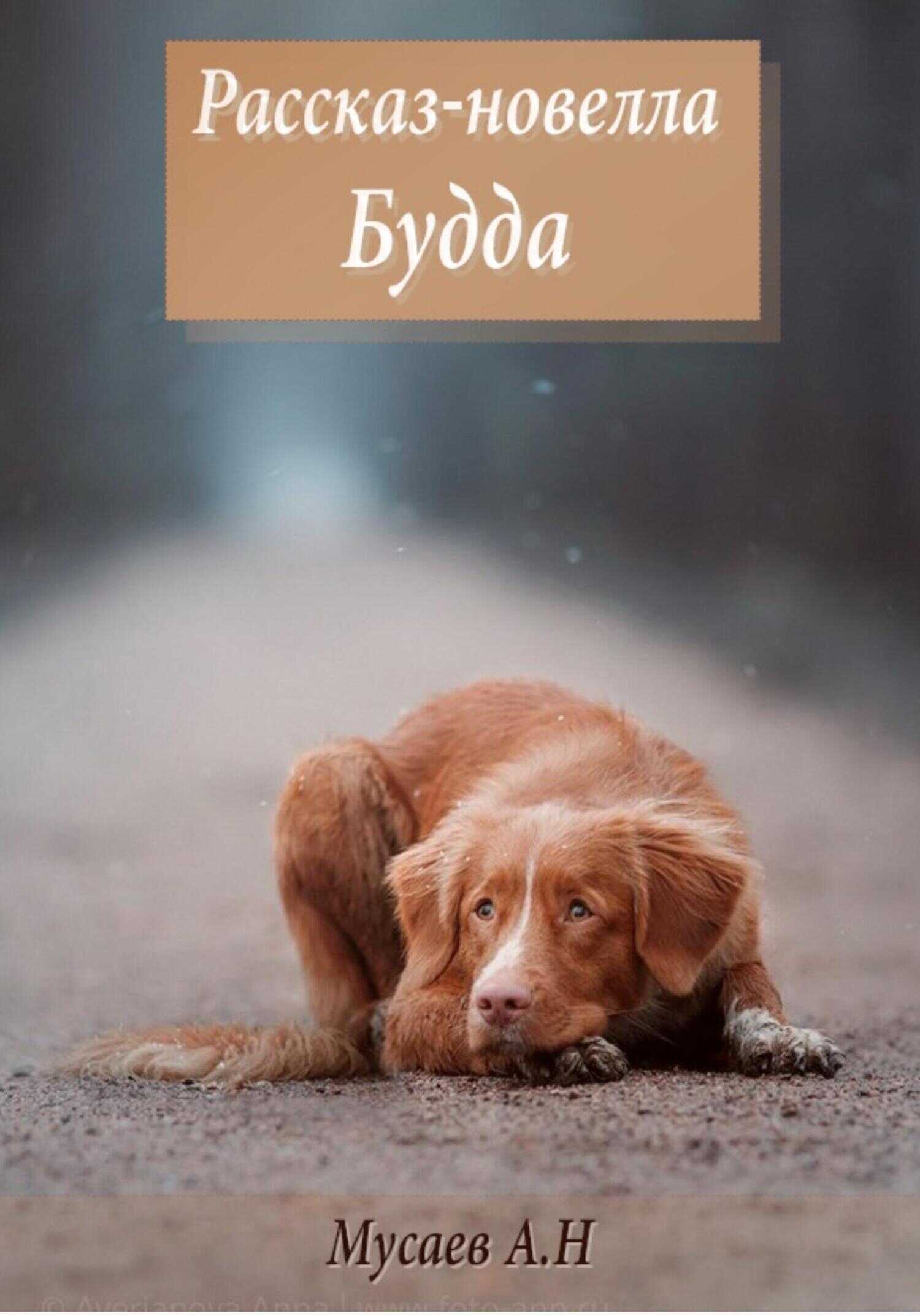 Будда - Артур Наилевич Мусаев - <a href=
