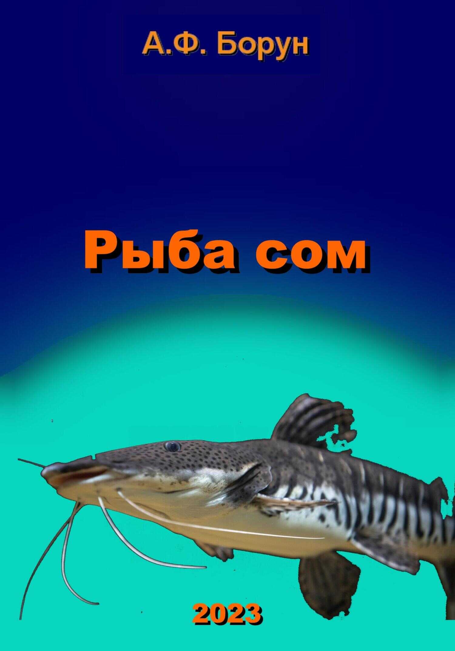Рыба сом - Александр Феликсович Борун - <a href=