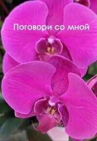 Поговори со мной  - Елисеева Виолетта