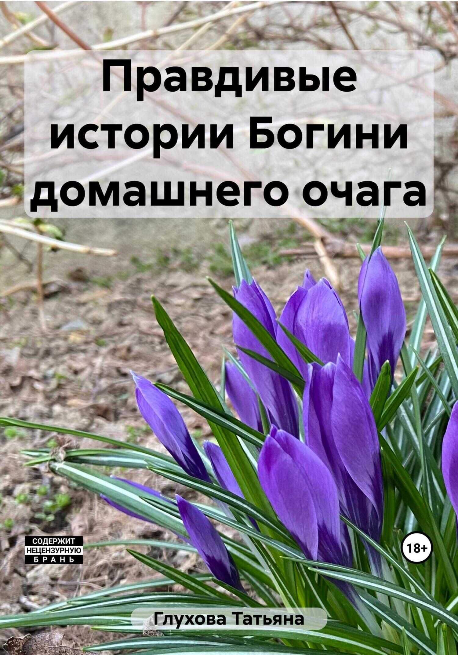 Правдивые истории Богини домашнего очага - Татьяна Глухова - <a href=