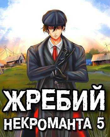 Жребий некроманта #5 - Евгений Валерьевич Решетов - <a href=