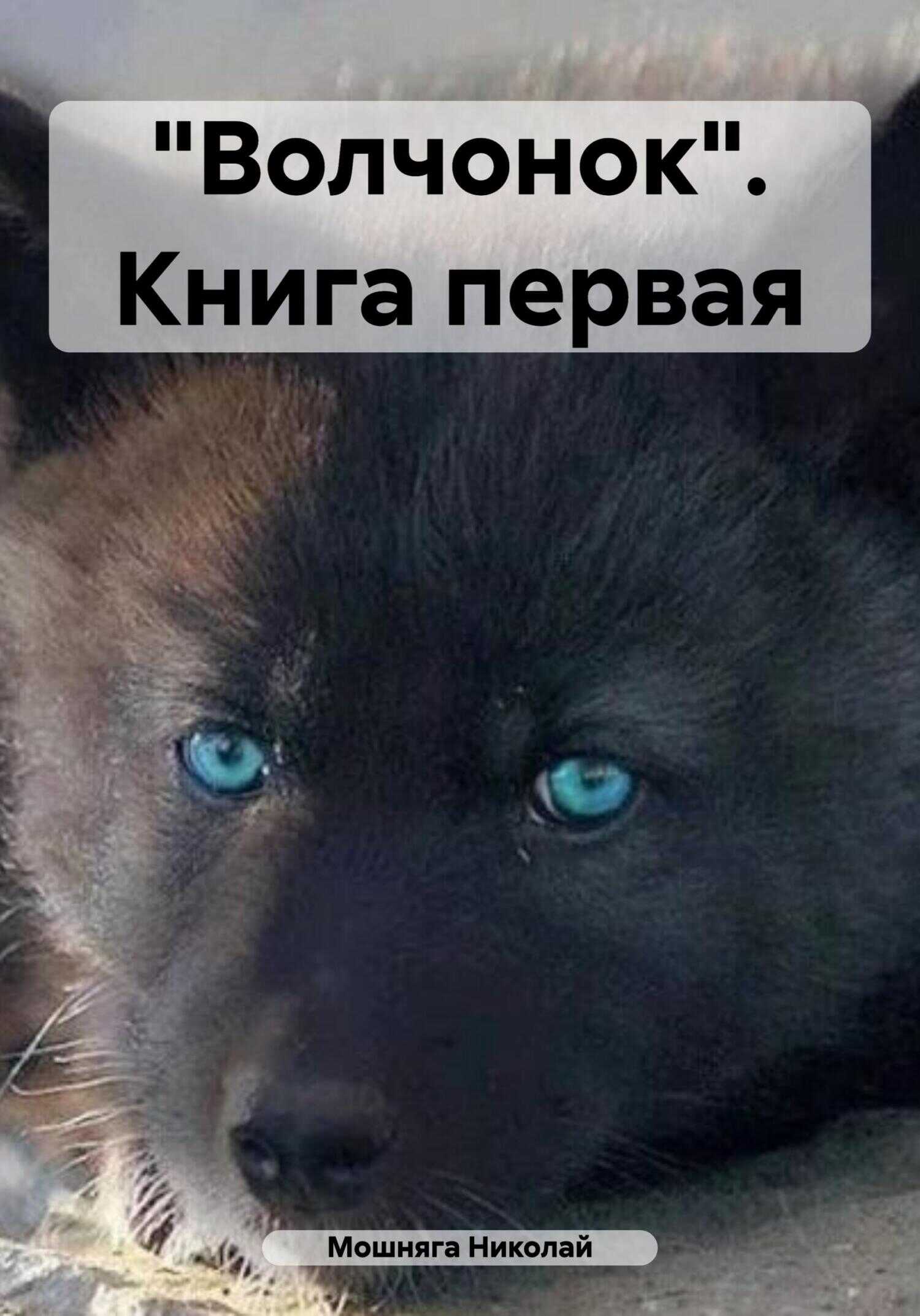 «Волчонок». Книга первая - Николай Мошняга - <a href=
