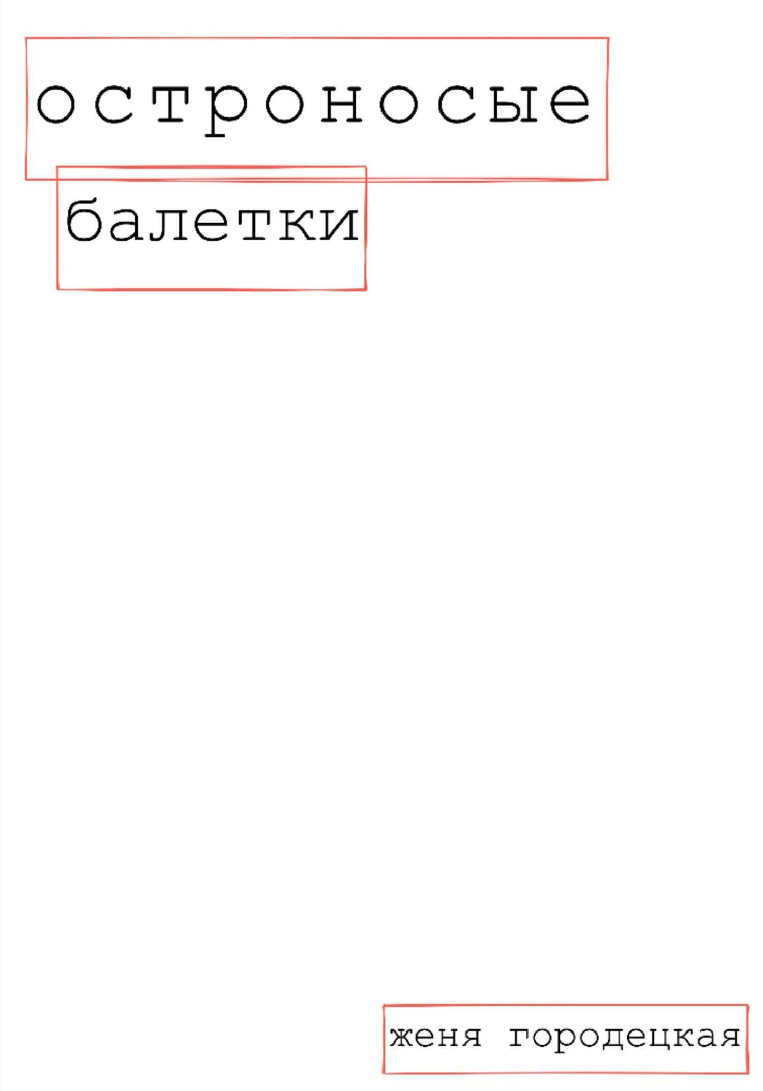Остроносые балетки - Женя Городецкая