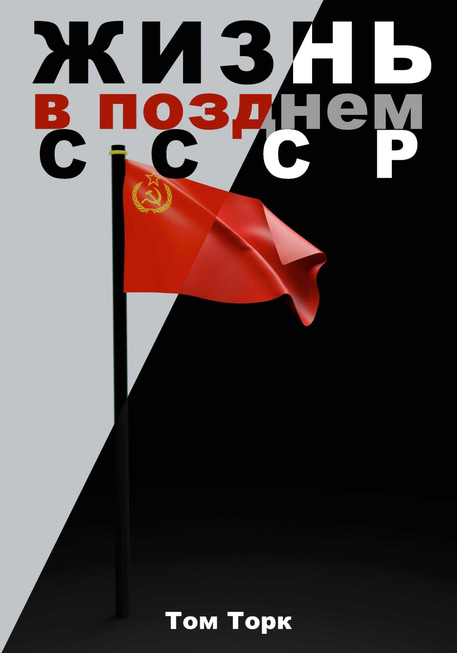 Жизнь в позднем СССР - Том Торк - <a href=