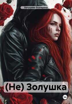 (Не) Золушка  - Богушева Екатерина