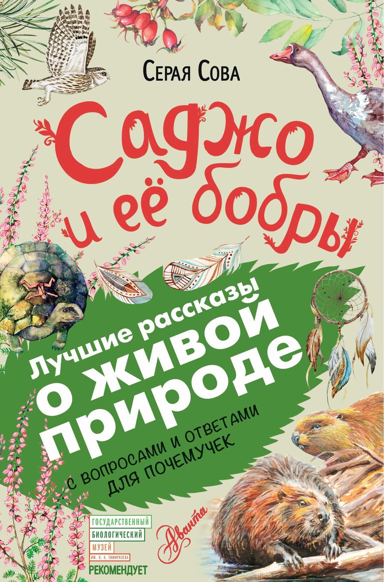 Саджо и ее бобры. С вопросами и ответами для почемучек - Вэша Куоннезин