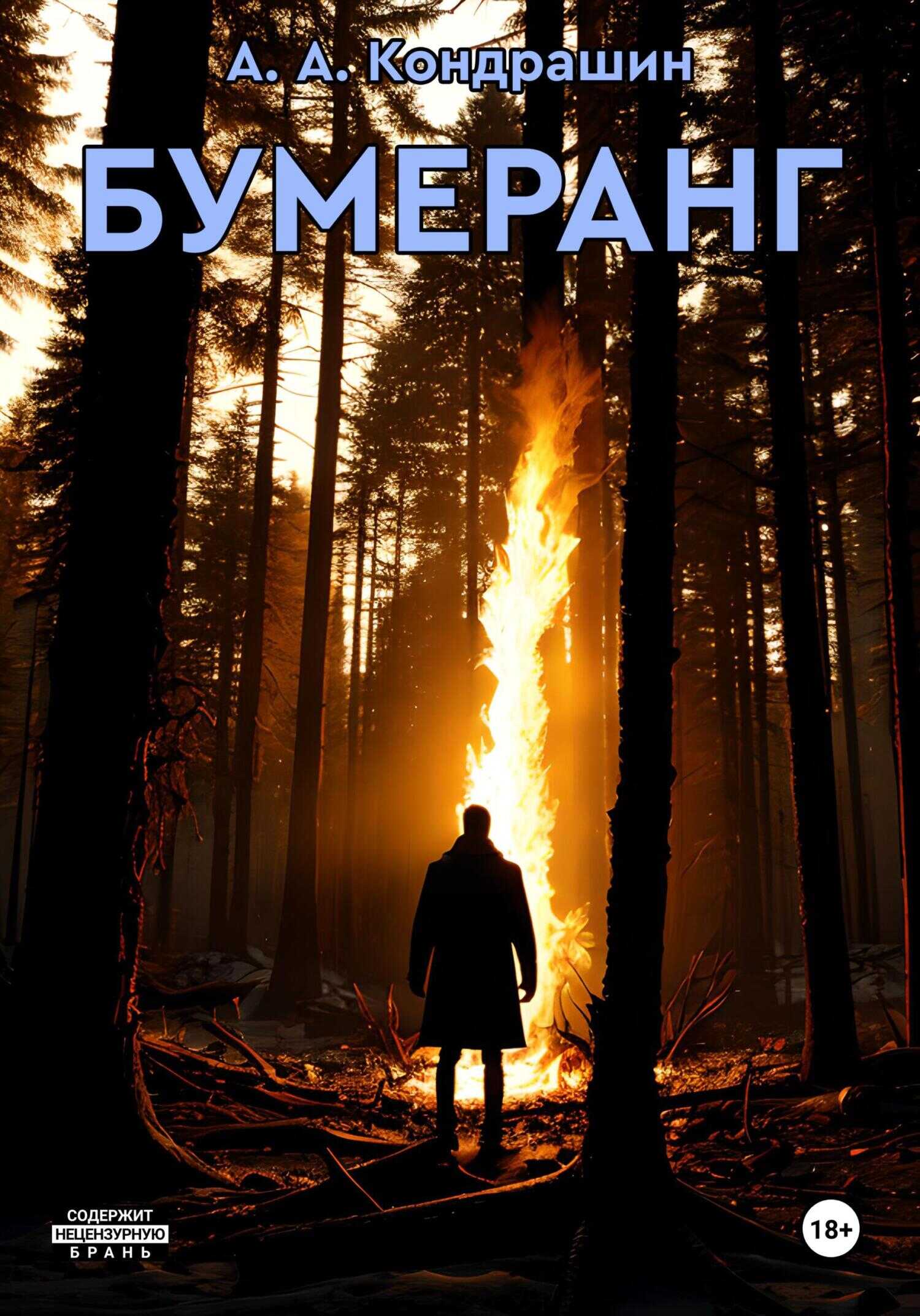 Бумеранг - Алексей Андреевич Кондрашин - <a href=
