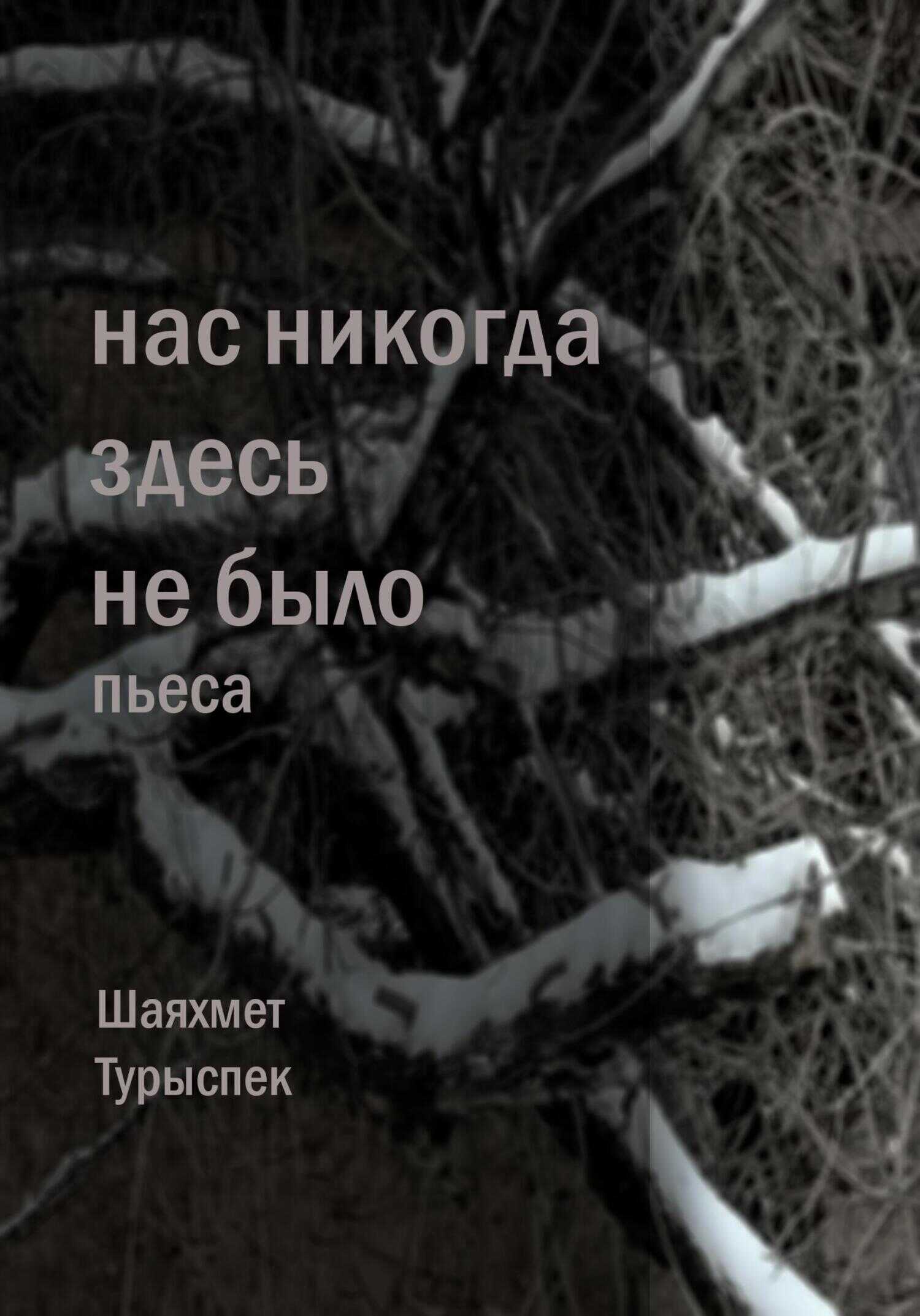 Нас никогда здесь не было - Шаяхмет Турыспек - <a href=