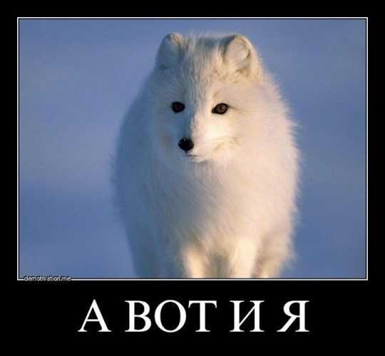 Мир новый проблемы старые. И главная - выжить - Ногицуне - <a href=