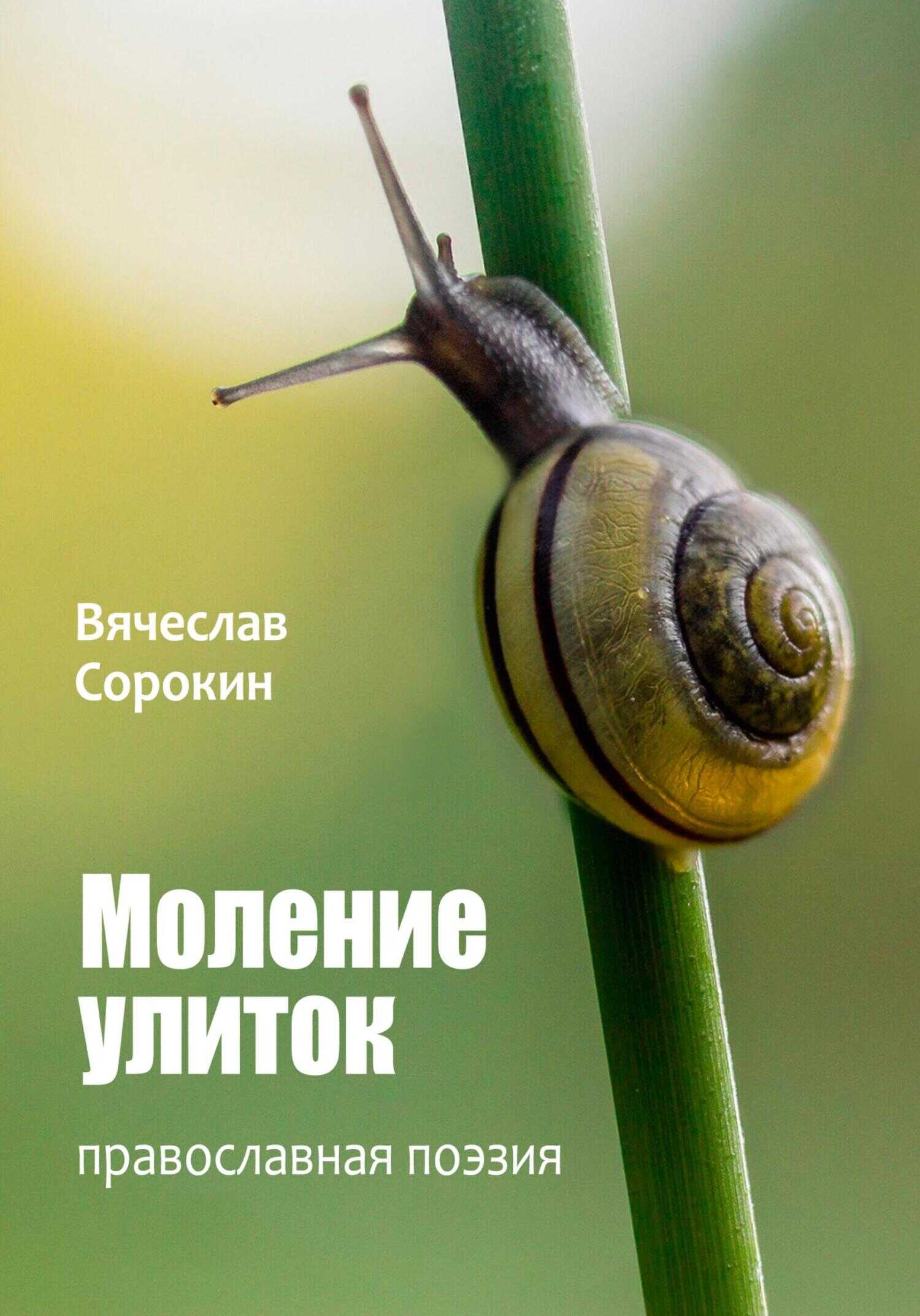 Моление улиток - Вячеслав Сорокин - <a href=