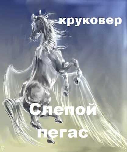 Слепой Пегас или БОМЖ с пистолетом - Владимир Исаевич Круковер - <a href=