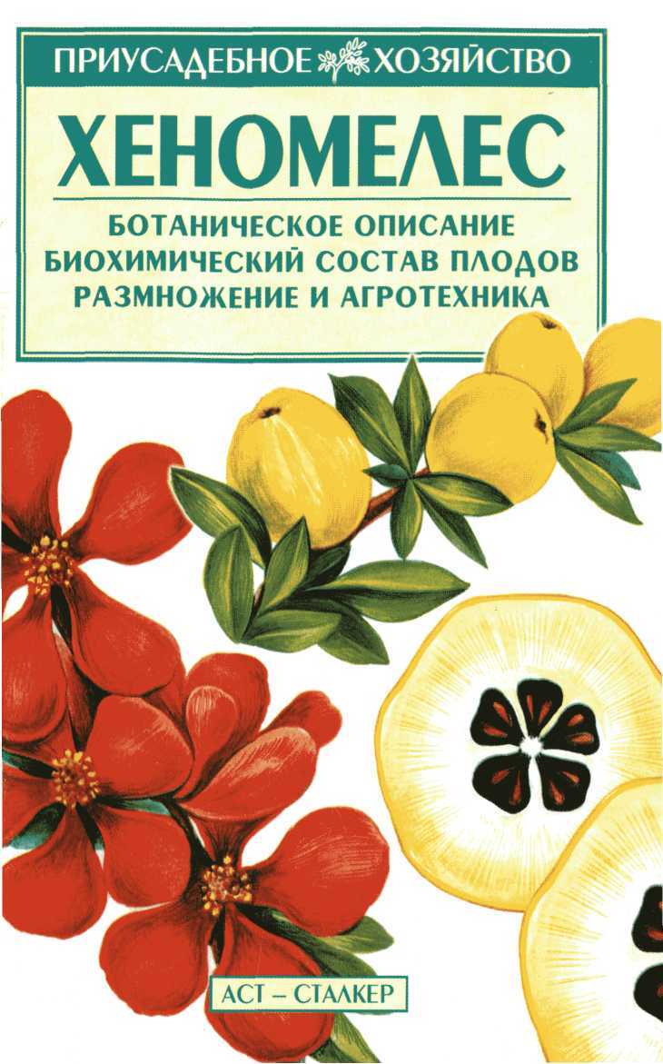 Хеномелес - Владимир Николаевич Меженский - <a href=