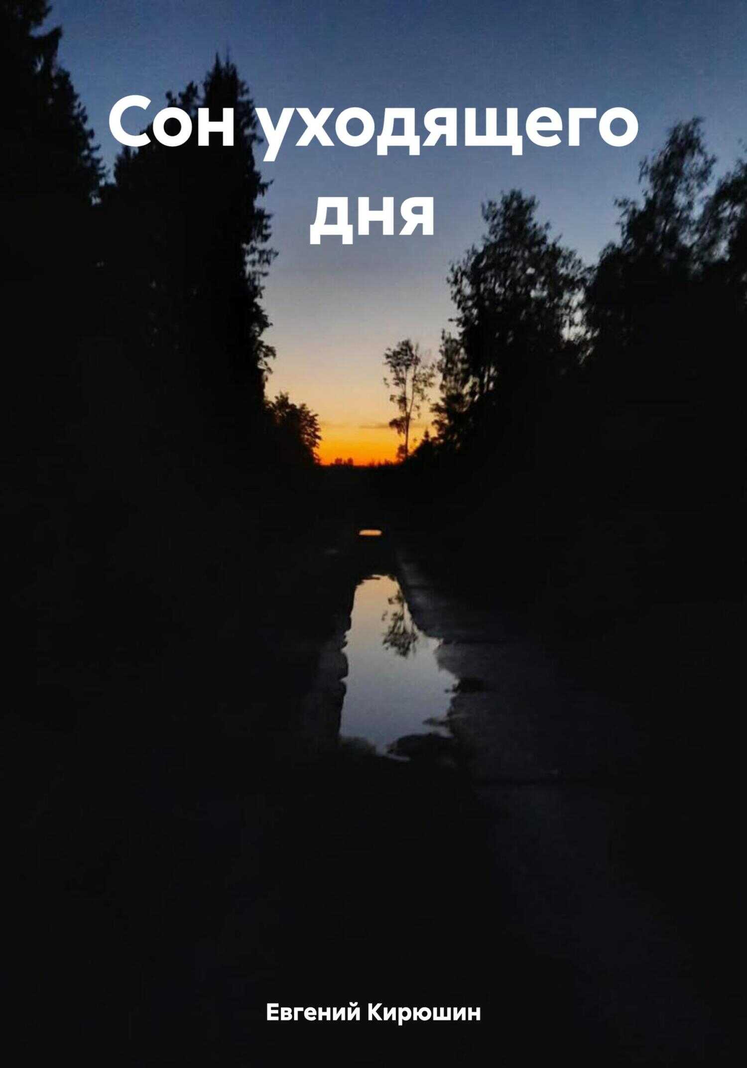 Сон уходящего дня - Евгений Кирюшин - <a href=