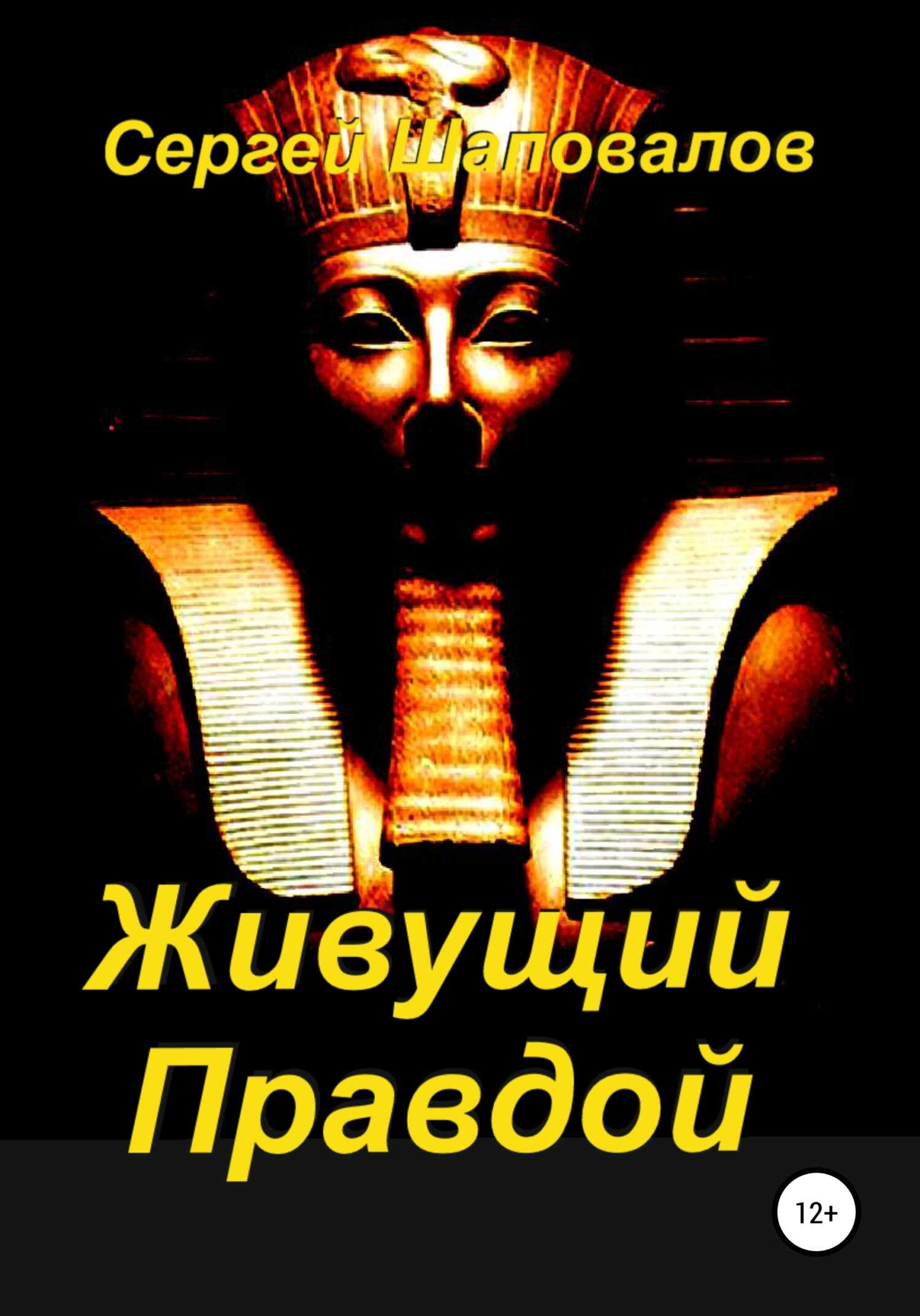Живущий Правдой - Сергей Анатольевич Шаповалов - <a href=