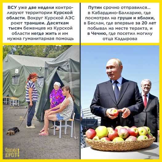 Русская жизнь-цитаты 14-21.08.2024 - Русская жизнь-цитаты - <a href=