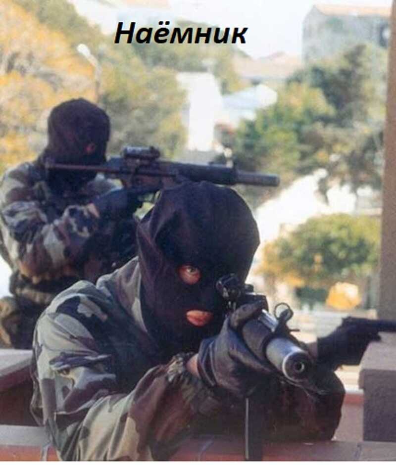 Наёмник  - Д. Н. Васильченко - <a href=