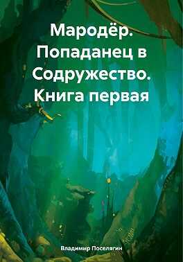 Попаданец в Содружество - Владимир Геннадьевич Поселягин - <a href=