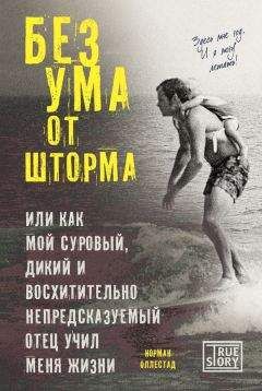 Норман Оллестад - Без ума от шторма, или Как мой суровый, дикий и восхитительно непредсказуемый отец учил меня жизни - <a href=