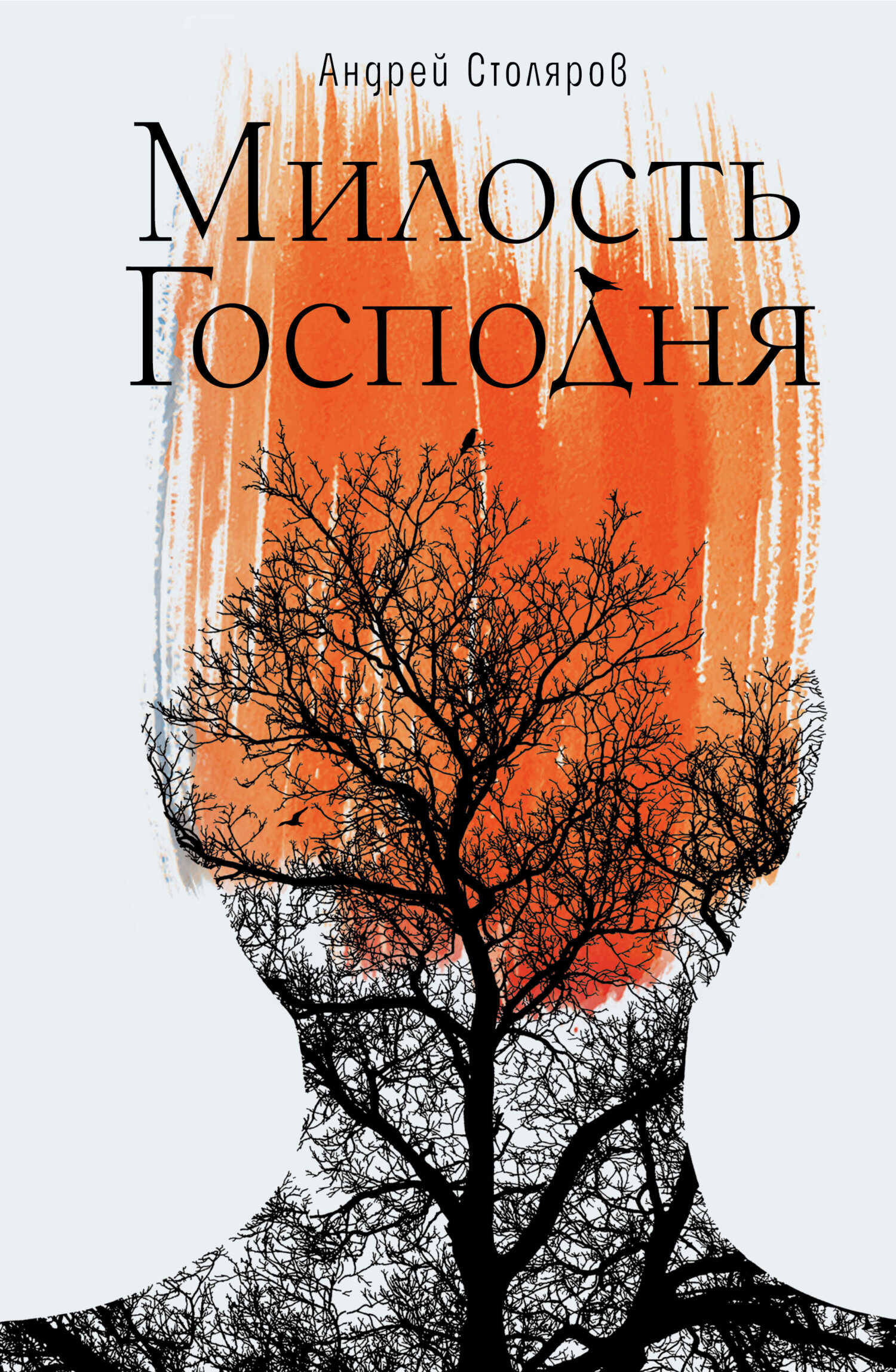 Милость Господня - Андрей Михайлович Столяров - <a href=