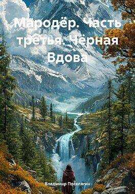 Мародер. Часть третья. Черная Вдова - Владимир Геннадьевич Поселягин - <a href=