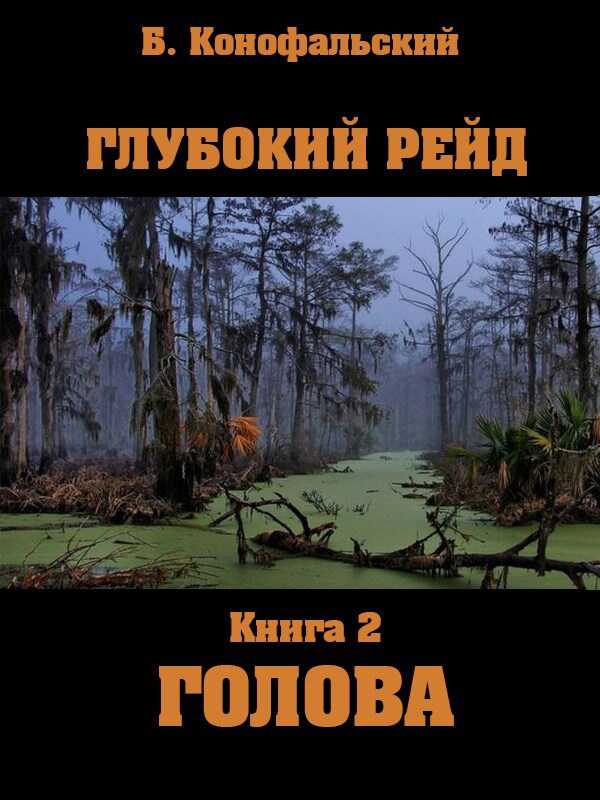 Глубокий рейд книга 2 ГОЛОВА - Борис Вячеславович Конофальский - <a href=