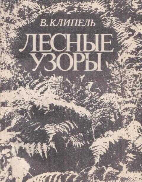 Лесные узоры - Владимир Иванович Клипель - <a href=
