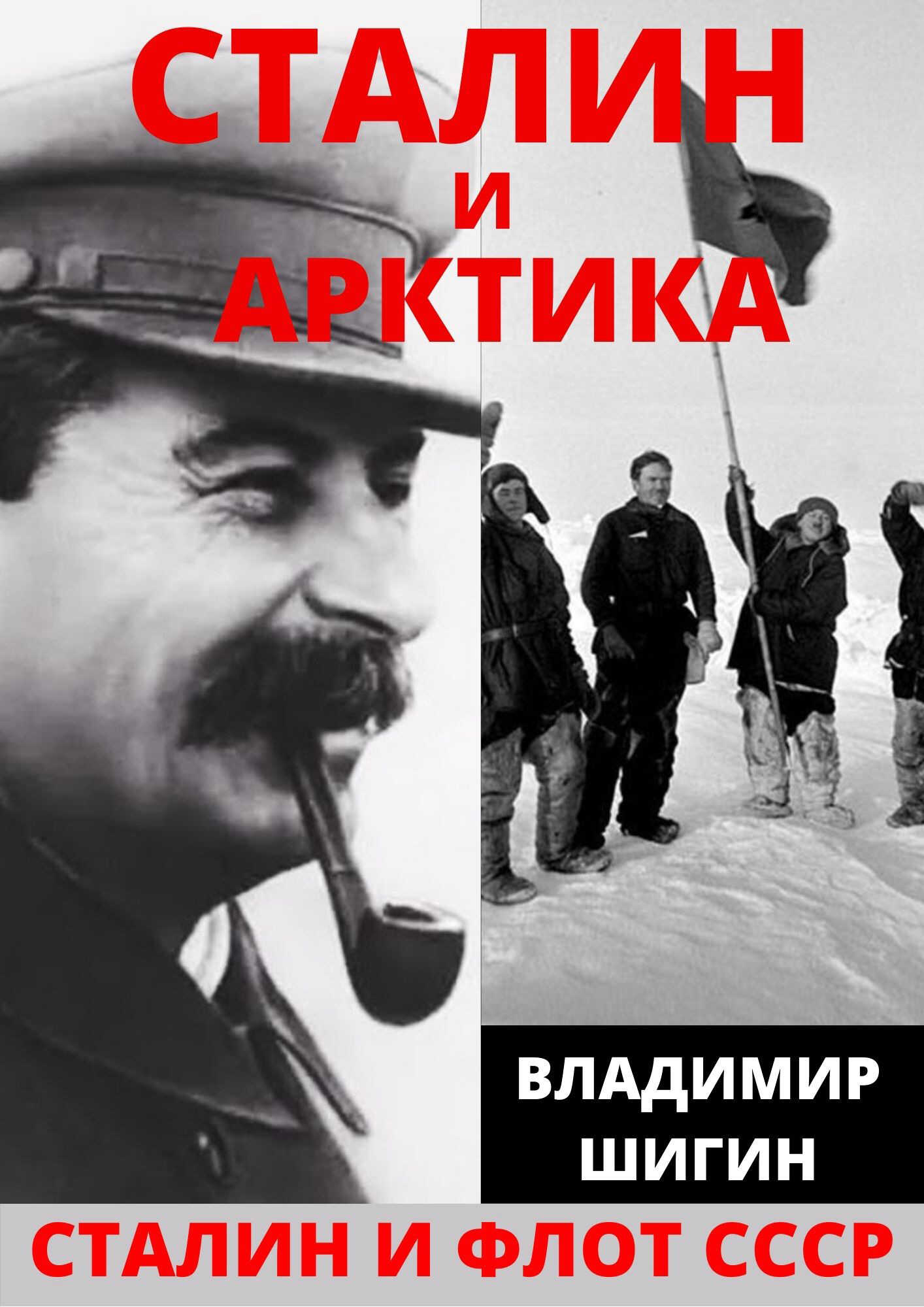 Сталин и Арктика - Владимир Виленович Шигин - <a href=
