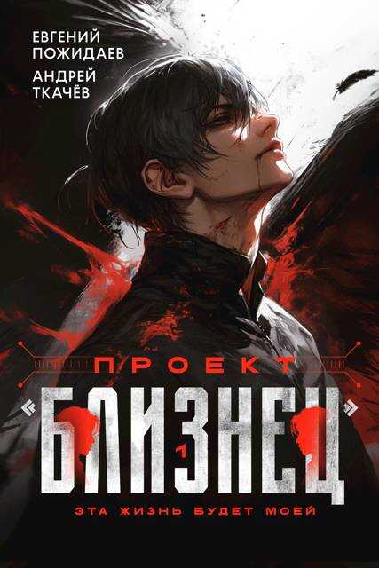 Проект «Близнец» - Евгений Пожидаев - <a href=