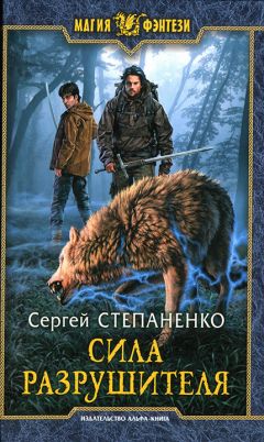 Сергей Степаненко - Сила Разрушителя - <a href=