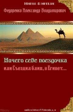 Александр Федоренко - Ничего себе Поездочка или Съездил блин в Египет